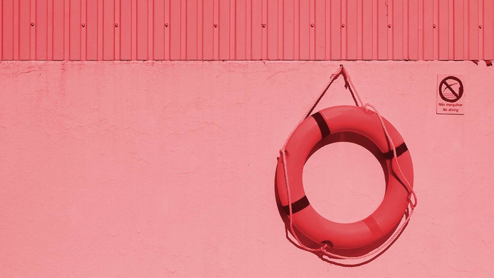 life preserver hanging on a wall